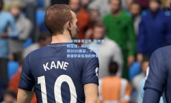 足彩网体育公司_张帅澳网征程，从2016突破到2026展望，十年高质量职业生涯的传奇