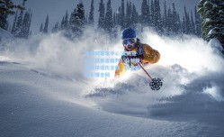 足彩网赛事中心|文班亚马开局暴击裁判？马刺新星跳球误伤主裁，搞笑瞬间引爆全网