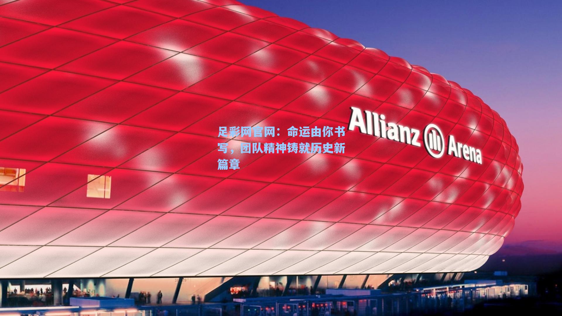 命运由你书写，团队精神铸就历史新篇章