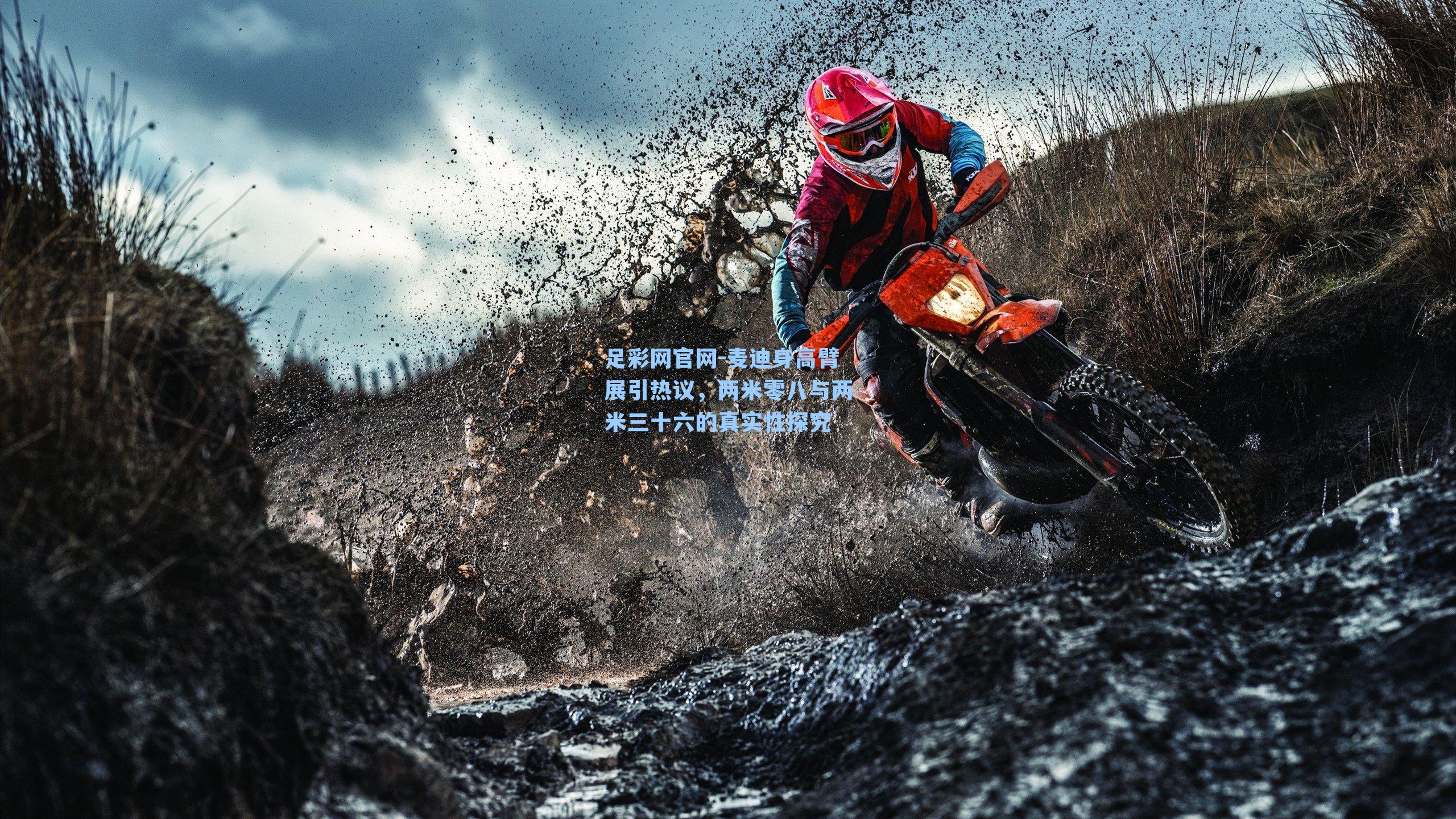 麦迪身高臂展引热议，两米零八与两米三十六的真实性探究